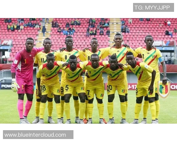 马里与法国在20世纪的交锋与合作历史回顾