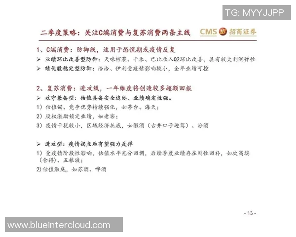 专业分析LNG战队的防守策略与战术布局解析