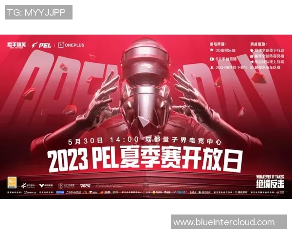 热议和平精英TES战队配合策略的全新变革与战术探讨