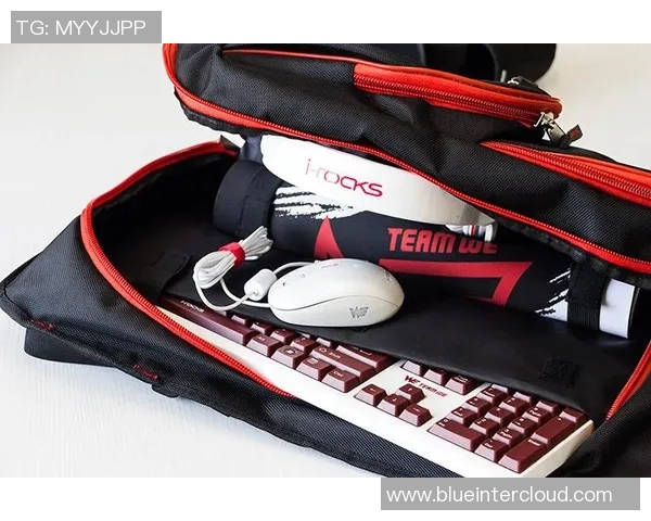 WE战队边路渗透策略分析及其成败得失探讨